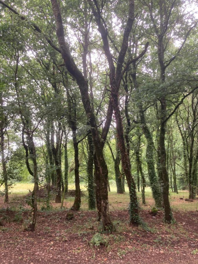 Camping Vila De Sarria Esterno foto