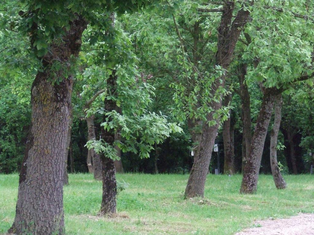 Camping Vila De Sarria Esterno foto